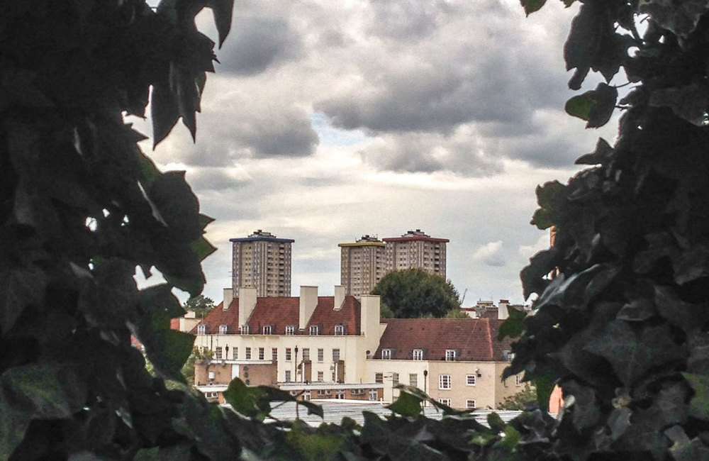 The secret garden at the British Library