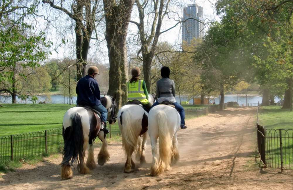 Hyde Park Stables