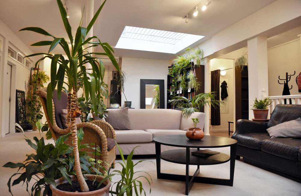 The Light Centre Belgravia