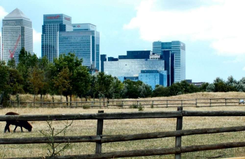 Mudchute Park & Farm