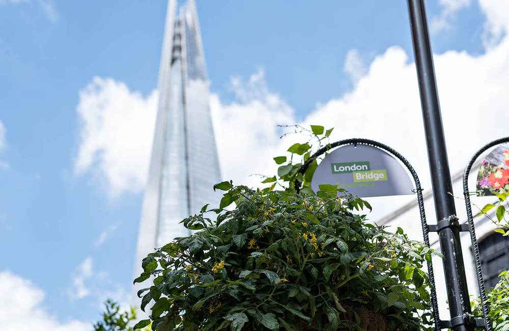 london-bridge-borough