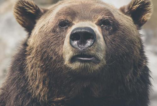 January Detoxing in the Office: How to Avoid Pitfalls