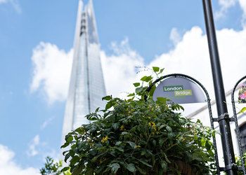 London Bridge & Borough Area Guide
