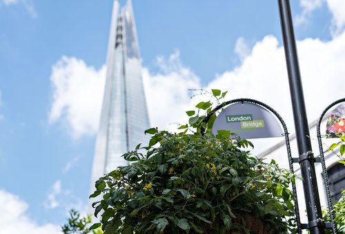 London Bridge & Borough Area Guide