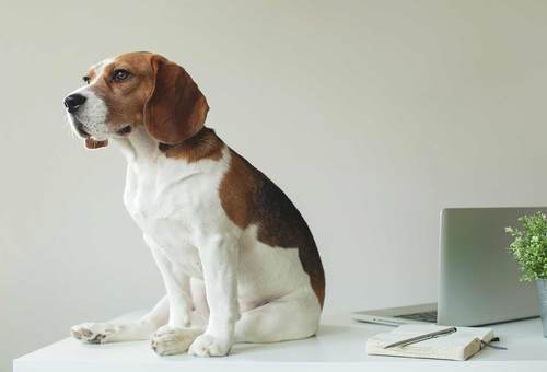 8 Things That Will Instantly Make Your Office Cool