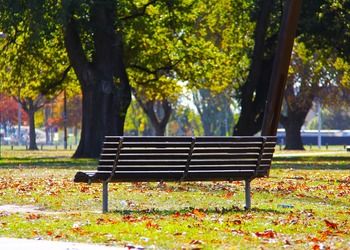 Offices Near Green Space