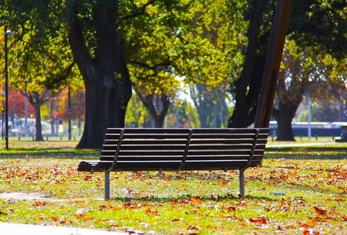 Offices Near Green Space