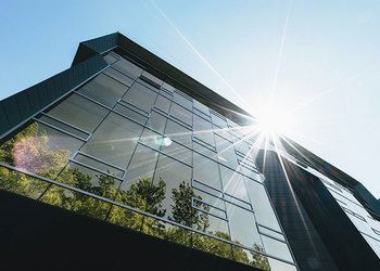 Workspace design trends part three: the future of the office and biophilic design